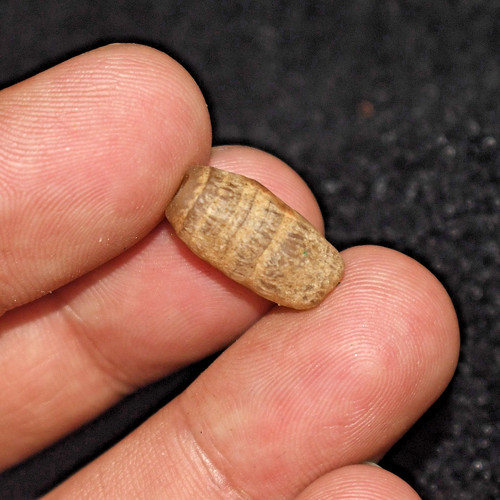 Autentica antica perla - , in