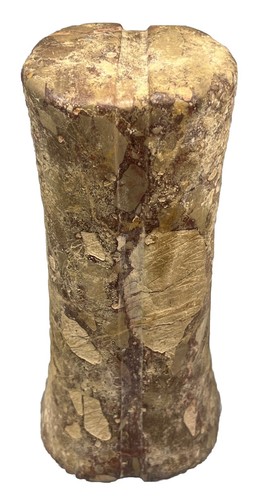 Antica colonna battriana